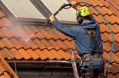 Démoussage et hydrofuge de toiture à Dénestanville